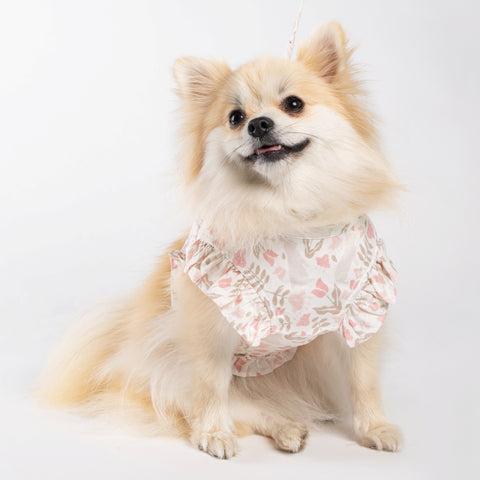 Rabbit printed frill harness with Leash - White