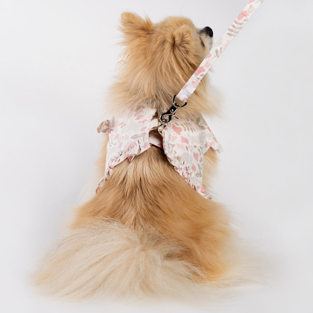 Rabbit printed frill harness with Leash - White