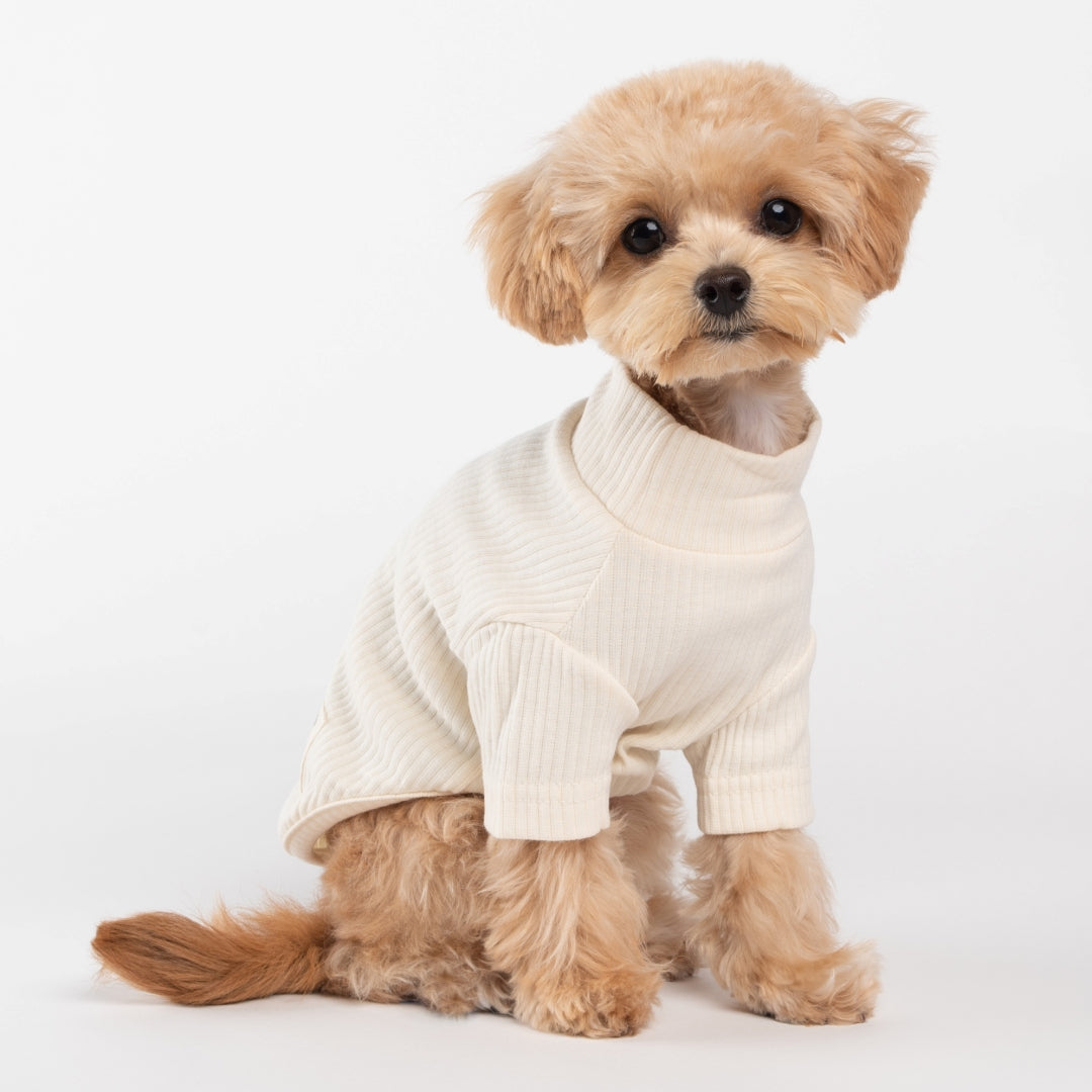 Solid Turtleneck Sweater - Light Beige