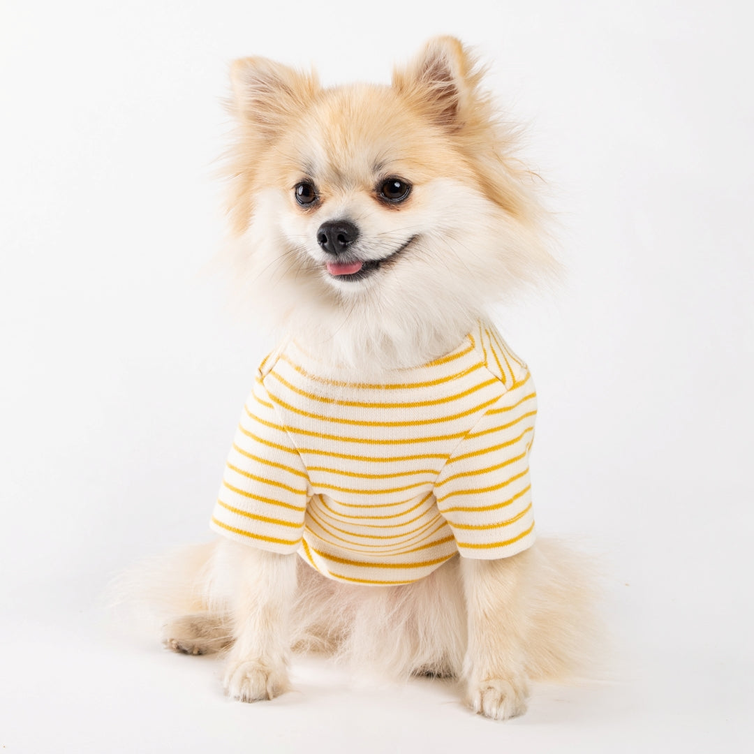 Stripe Honey Bee Sweatshirt – Yellow