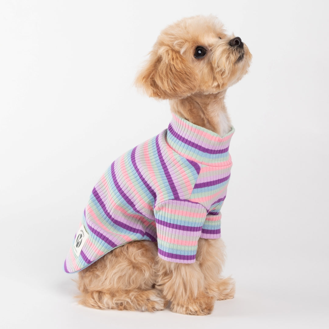 Stripe Ribbed Turtleneck Sweater - Purple