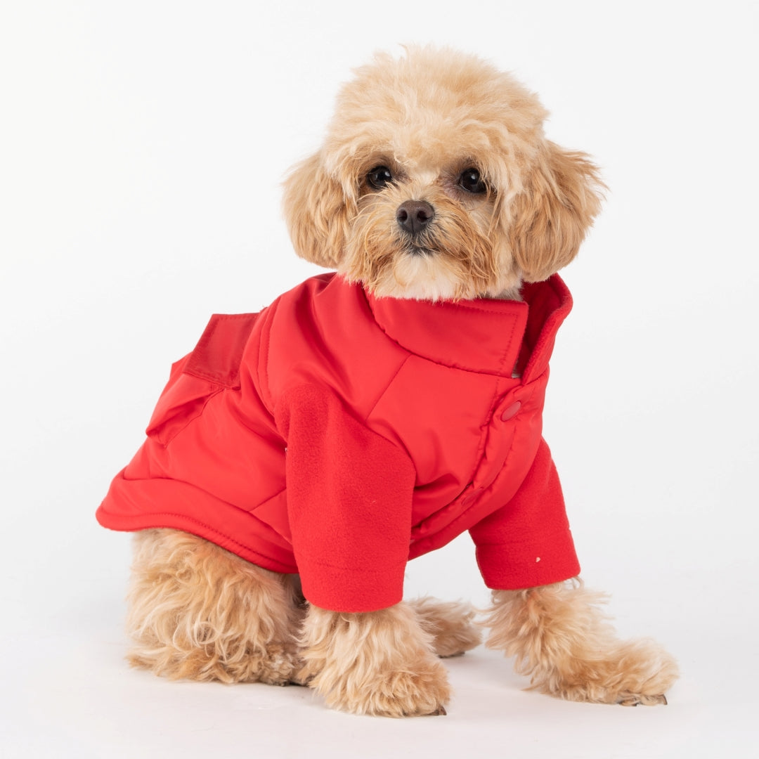 Teddy Bear Pocket Padded Coat - Red